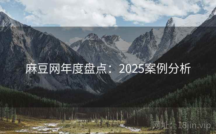 麻豆网年度盘点：2025案例分析