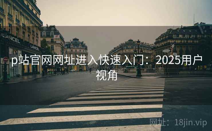 p站官网网址进入快速入门:2025用户视角