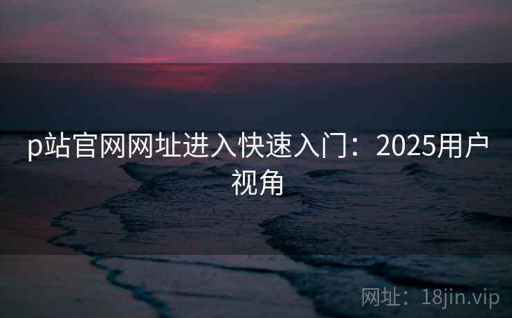 p站官网网址进入快速入门:2025用户视角