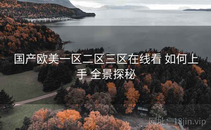 国产欧美一区二区三区在线看 如何上手 全景探秘