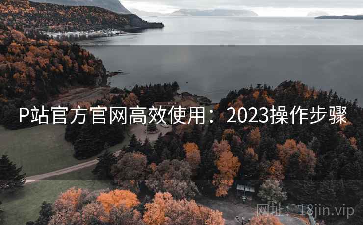 P站官方官网高效使用：2023操作步骤