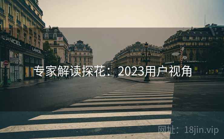 专家解读探花：2023用户视角
