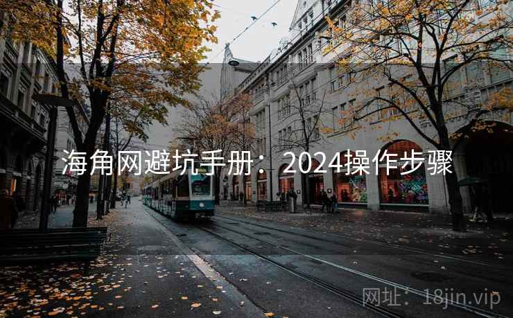 海角网避坑手册：2024操作步骤