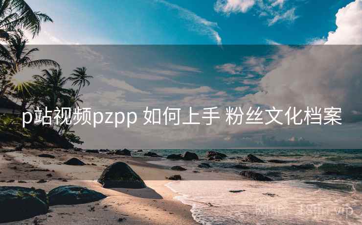 p站视频pzpp 如何上手 粉丝文化档案