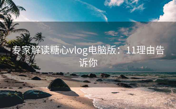 专家解读糖心vlog电脑版:11理由告诉你